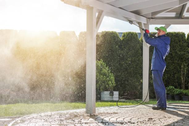 Best Fence Cleaning and Maintenance in Murillo, TX